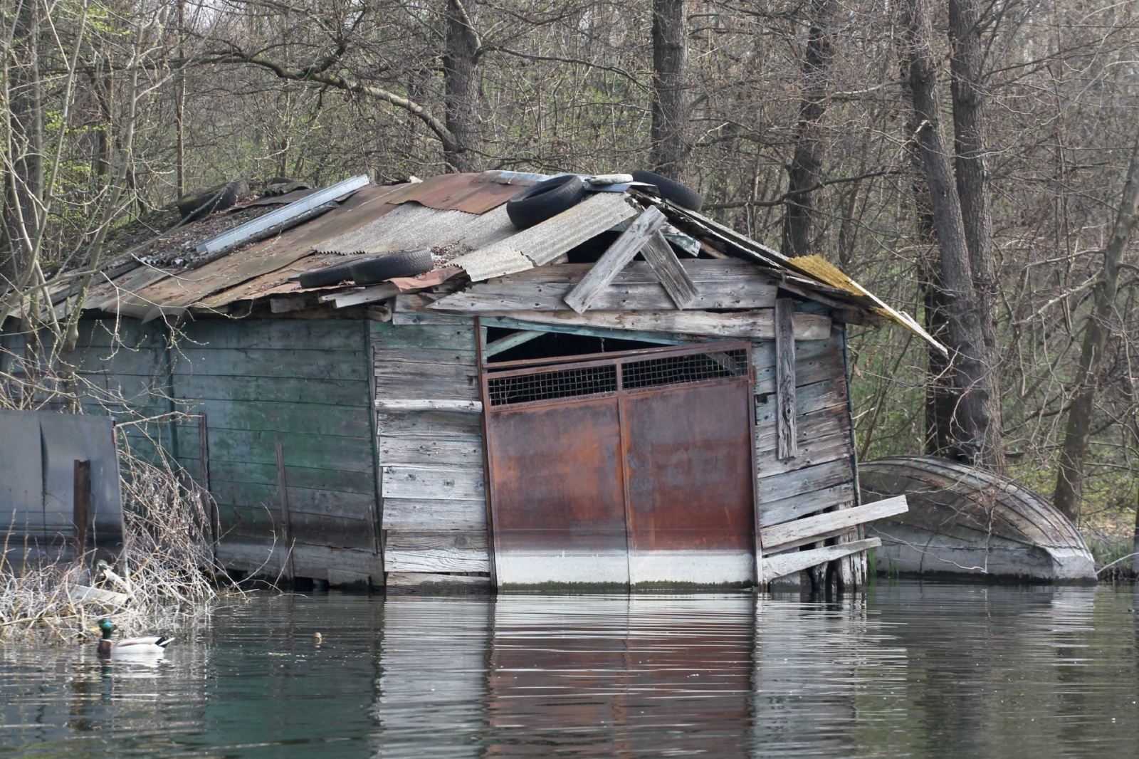 BARDELLO#br/#VARESE#br/#21/03/2014#br/#Viaggio in barca sul lago di Varese per darsene rovinate e sporcizia