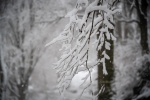 GN4_DAT_39339083.jpg