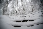 GN4_DAT_39339089.jpg