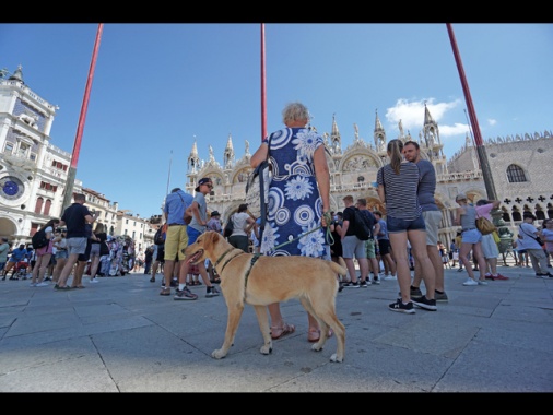 Ticket Venezia, 80mila prenotati oggi, uno su 10 non paga