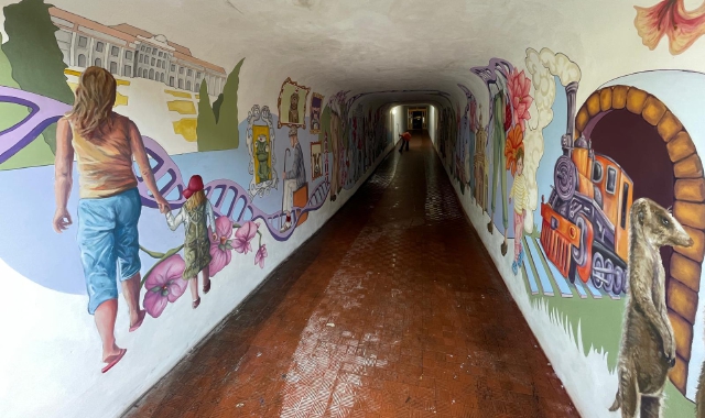 I murales realizzati dagli studenti del liceo artistico varesino (foto Puricelli - Blitz)