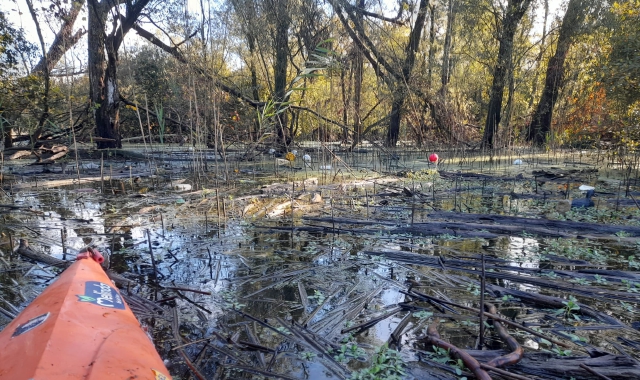 Rifiuti nel lago di Varese, «nessuno è intervenuto»