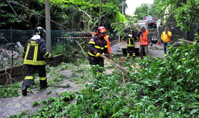 Vento e alberi caduti nel Varesotto