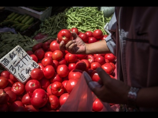 Inchiesta Bbc, pomodori 'italiani' in Gb vengono da Xinjiang