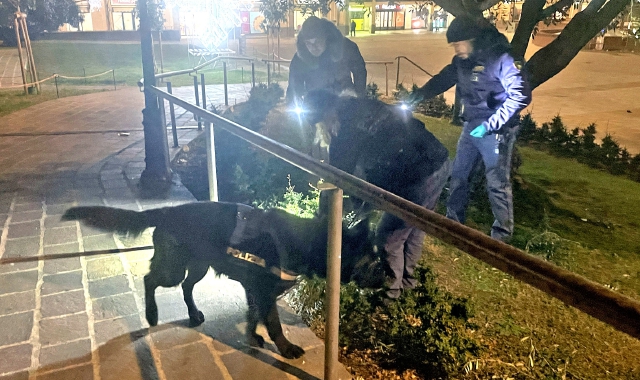 Le attività di controllo hanno visto l’impiego di poliziotti  della Questura, un’unità cinofila e agenti della polizia locale  (foto Angelo Puricelli - Agenzia Blitz)  