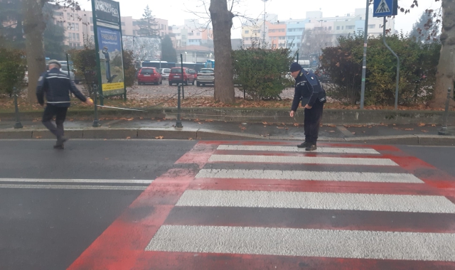 Investita mentre va a scuola, paura per una 17enne