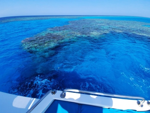 Peppino Fappani è il ferito da uno squalo nel Mar Rosso