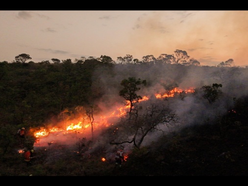 Brasile, foreste bruciate in incendi aumentate del 79% nel 2024