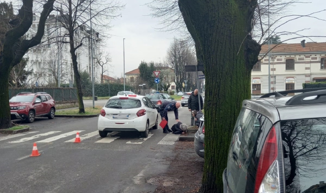 Una donna e il suo cane investiti a Gallarate