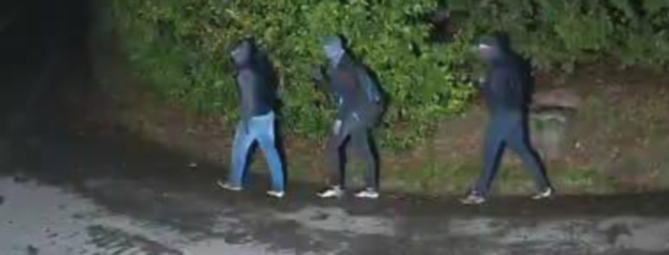 I furti, poi le fughe nel bosco: ancora ladri a Bobbiate