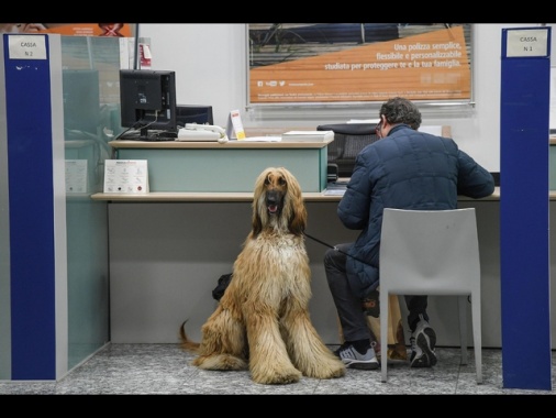 Abi, le operazioni bancarie sono sempre più digitali