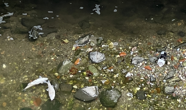 In questa parte dell’anno ampi tratti di torrente sono asciutti (Blitz)