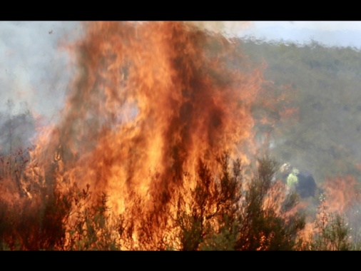 Spagna, morto un uomo per ustioni subite in uno degli incendi