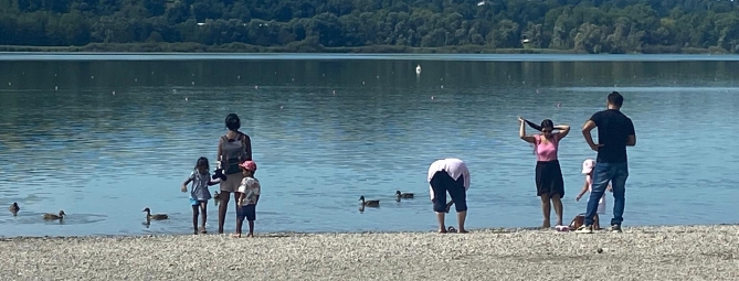 Alghe in diminuzione: «Il lago di Varese può tornare balneabile»