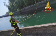 Cervo intrappolato in acqua, salvato dai vigili del fuoco
