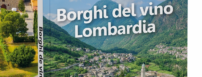 Alla scoperta della Lombardia con in mano un calice di vino