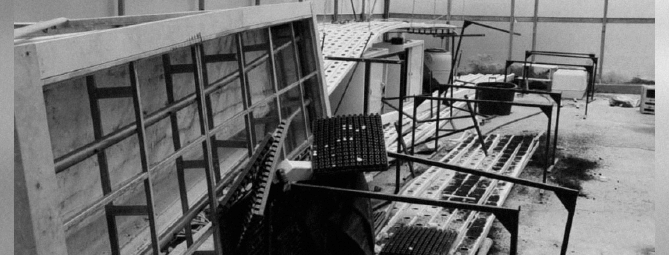 Vandali all’istituto agrario di Lesa