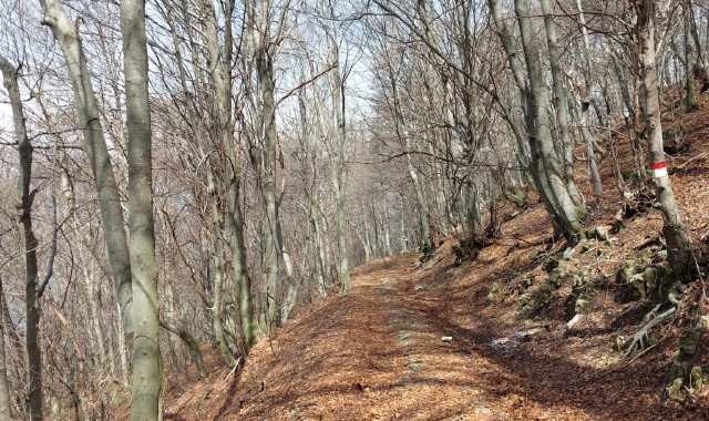 Passeggiando immersi nell’autunno