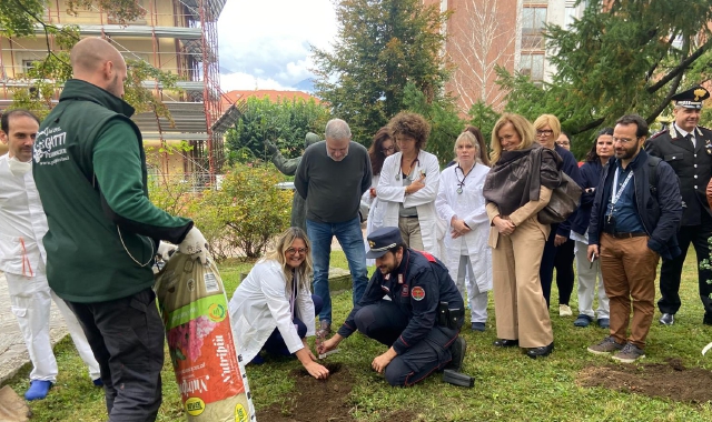 Luino, piante per la salute a dimora in ospedale
