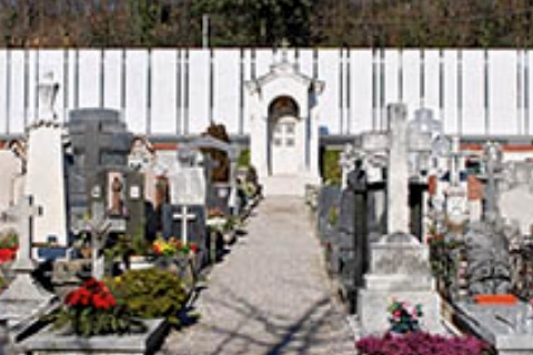 Razzia di vasi e piante. Cimitero nel mirino