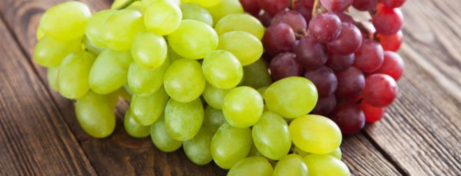 Ampeloterapia: curarsi con l'uva
