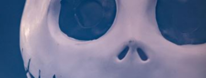 Tim Burton Show a teatro