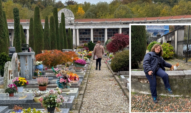Lucia vive con Severino a Belforte, proprio sopra gli uffici cimiteriali