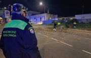 Albero a rischio crollo, abbattimento in serata