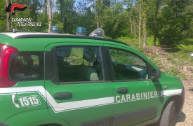 Abbandona rifiuti, pagherà 4.500 euro di sanzione