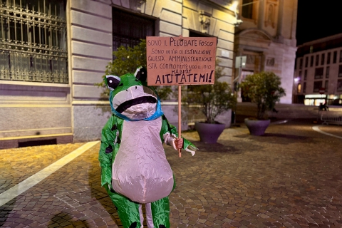 Gallarate, nuovo palazzetto: la protesta del pelobate