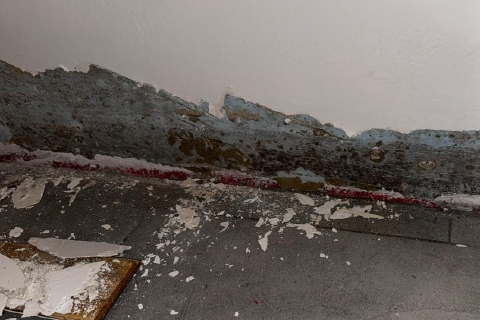 «Prigionieri della muffa nella casa Aler»