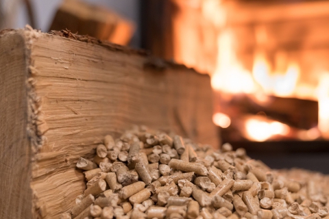 L’ordine, il pagamento, il pellet svanito: chieste tre condanne