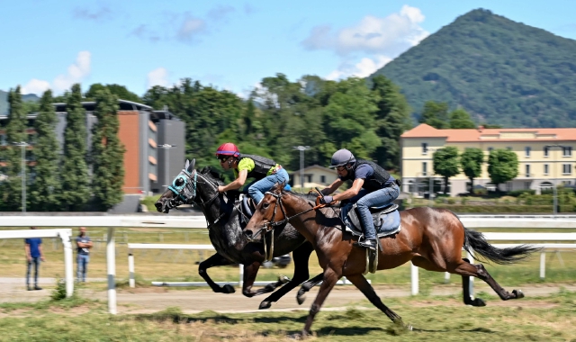 Una corsa all’ippodromo varesino delle Bettole