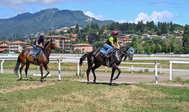 Varese Turf & Sport: «A noi la concessione delle Bettole»