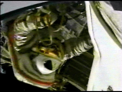 Molecole naturali per frenare l'invecchiamento degli astronauti