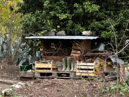 Famiglia bosco, genitori convocati giovedì in Tribunale