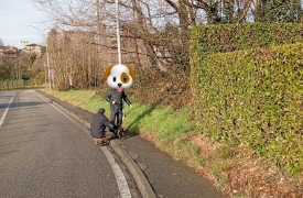 Polpette avvelenate sui marciapiedi: «Massima attenzione»