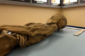 Bio archaeo day: al via all’Insubria la quarta edizione