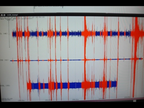 Terremoto di magnitudo 6.7 in Giappone, allerta tsunami