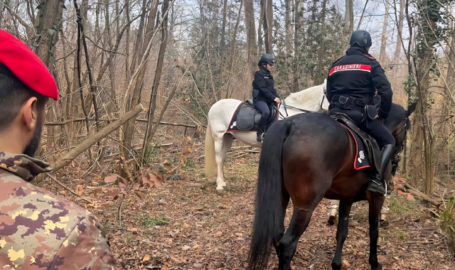 Carabinieri a cavallo nei boschi della droga
