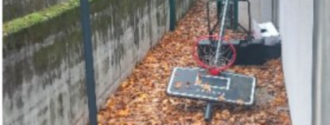 Palazzetto in disordine, il Comune tira le orecchie alla Bbg