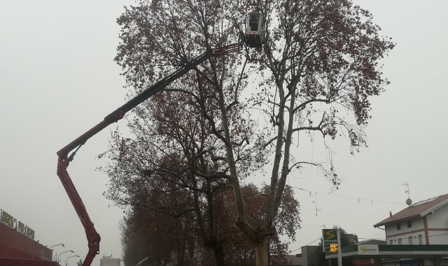 Ad Amga anche la gestione del verde pubblico