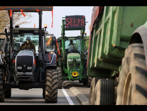 Prima intesa Ue sulle salvaguardie per gli agricoltori nel Mercosur