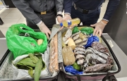 Sequestrate tonnellate di carni e frutta pericolose