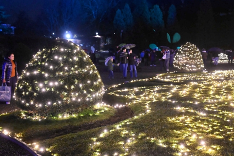 La gioia delle luci, il racconto della pace