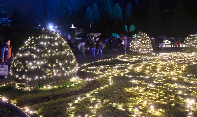 La gioia delle luci, il racconto della pace