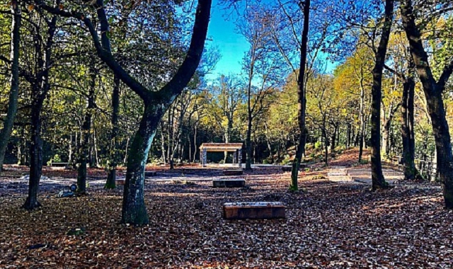 La mostra “Forme del tempo” propone il sito Unesco del Monte San Giorgio negli scatti di Renato Cerisola (foto Archivio)