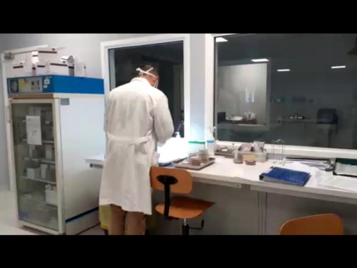 Via libera del Consiglio dei ministri al ddl per la riforma del Servizio sanitario