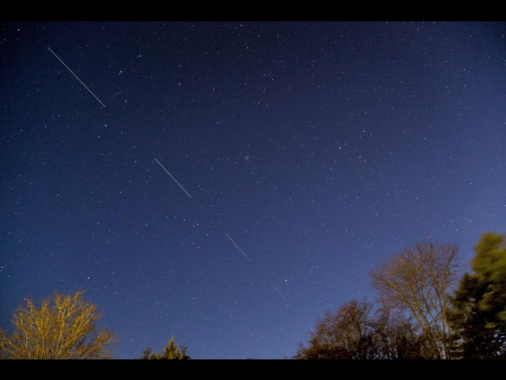 'Musk sta offrendo l'internet di Starlink gratis in Iran'