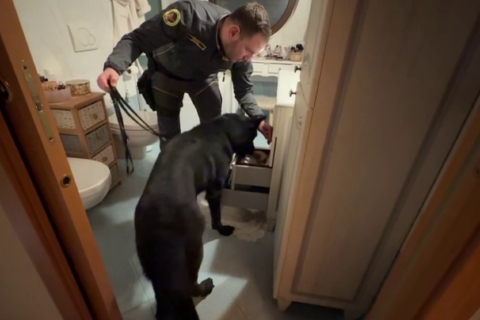 Dalla droga alle armi: arrestati in silenzio